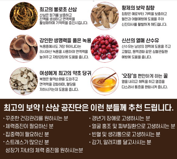 Sansam Ginseng Gongjindan 10 pcs.