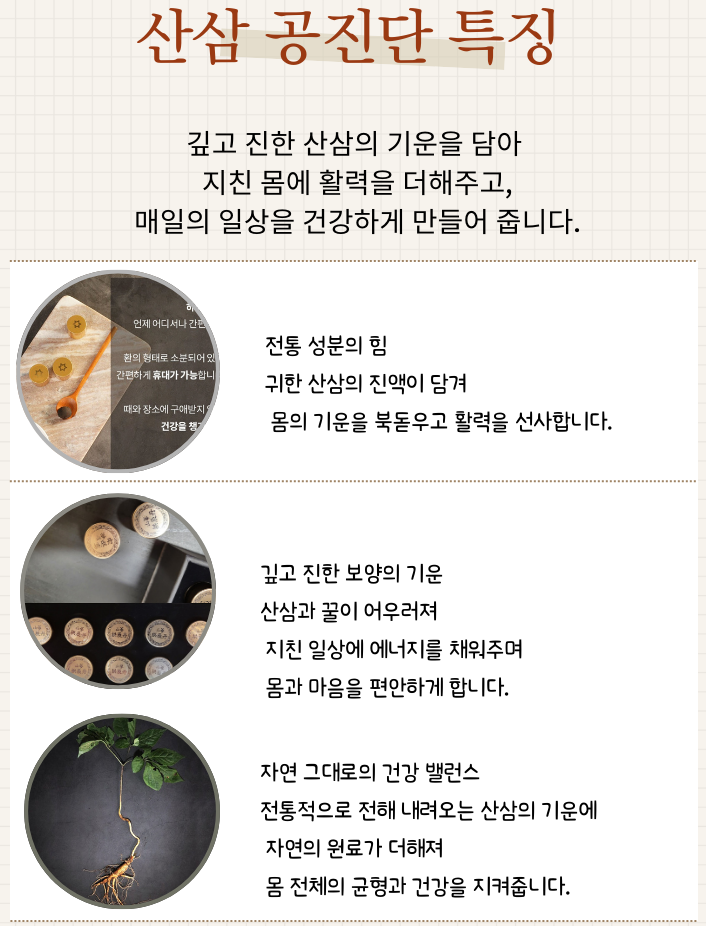 Sansam Ginseng Gongjindan 10 pcs.