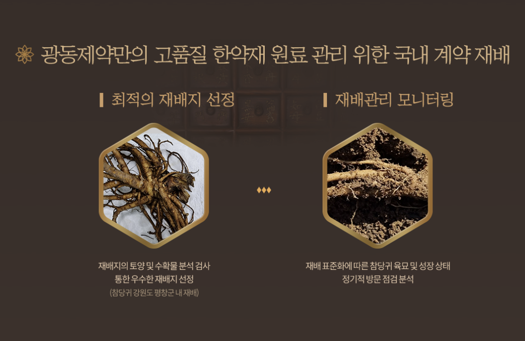 [Kwangdong Pharmaceutical] Kwangdong Gongjindan 10 pills_Gold Coated