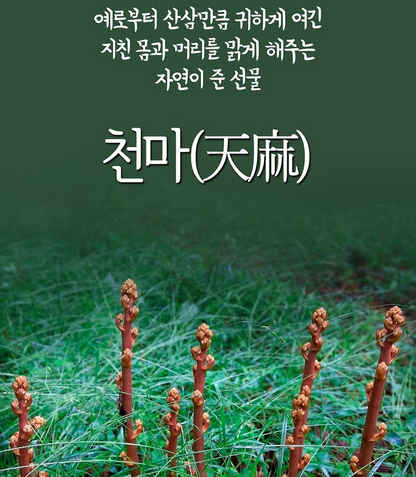 [2+1] Gyeongju Saengyak Cheon Ma Hwan 10 pills. Brain Health Energy Recovery (Origin: Korea)