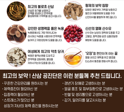 Sansam Ginseng Gongjindan 10 pcs.