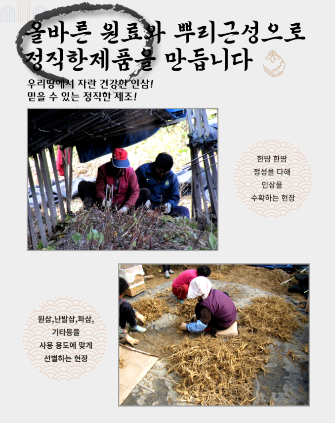 [3+1] Red Ginsaeng Slices 80 Packs, 4 Years or Older Root, Premium Korean Hong Sam Jeol Pyeon, Buy 3 Get 1 Free