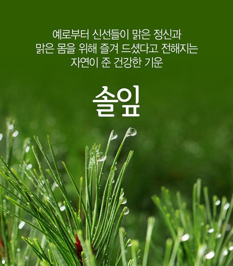 [2+1] Gyeongju Saengyak Sol Ip Hwan 10 pills. Healthy Blood Sugar, Brain Energy (Origin: Korea)